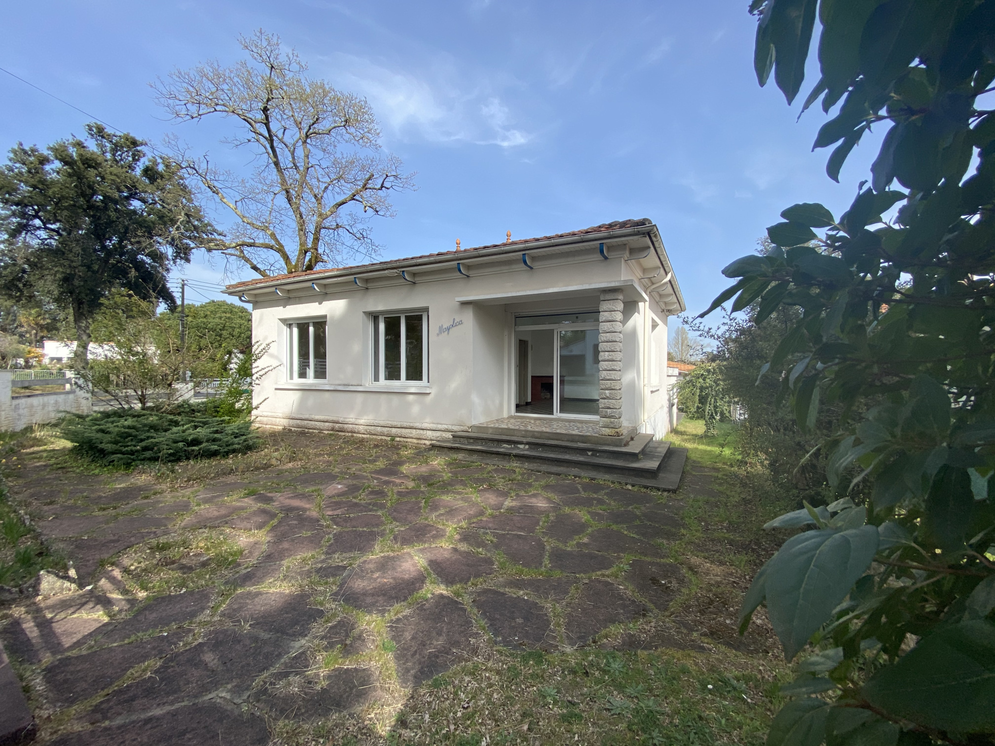 photo1
