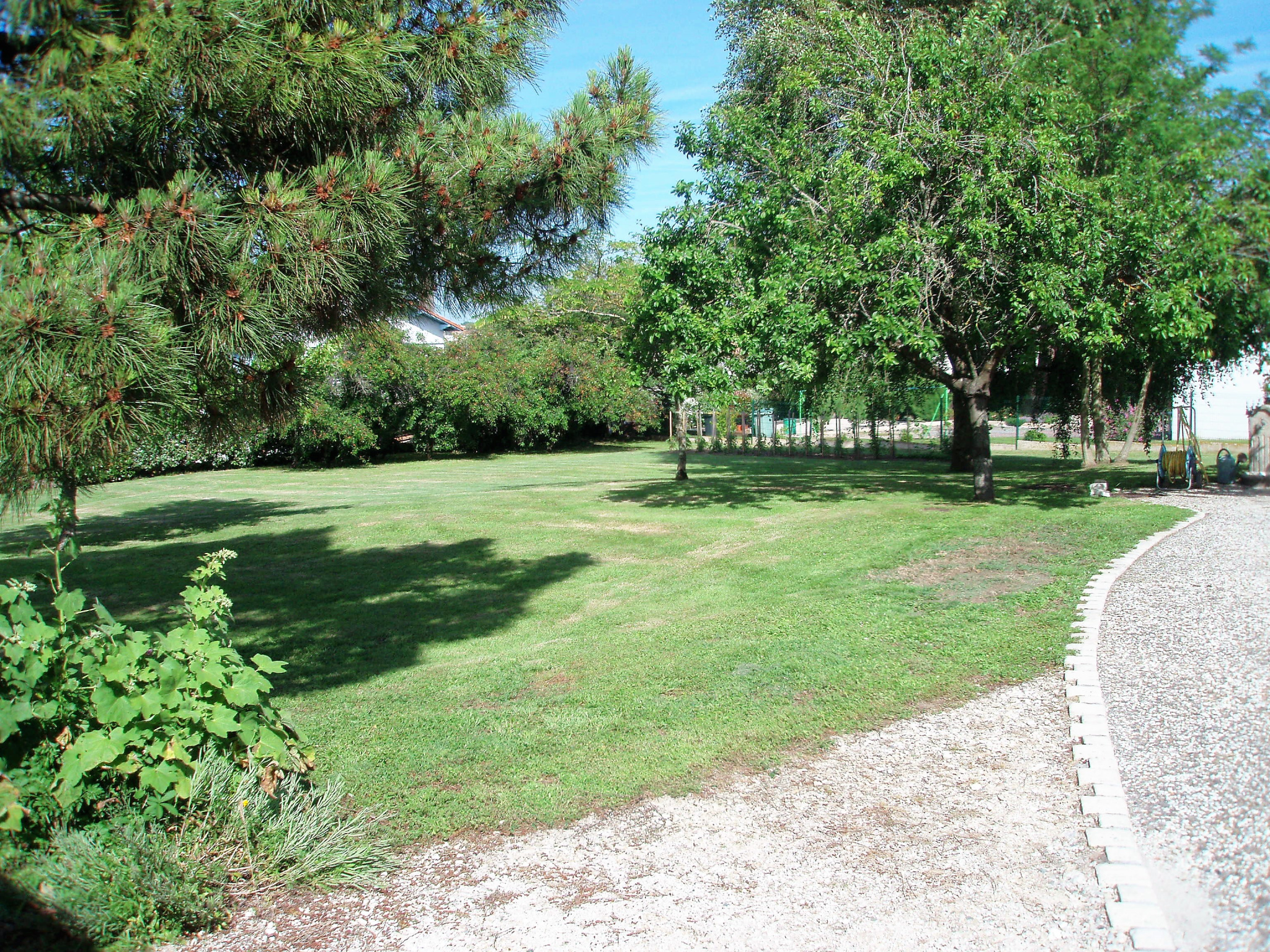 photo10