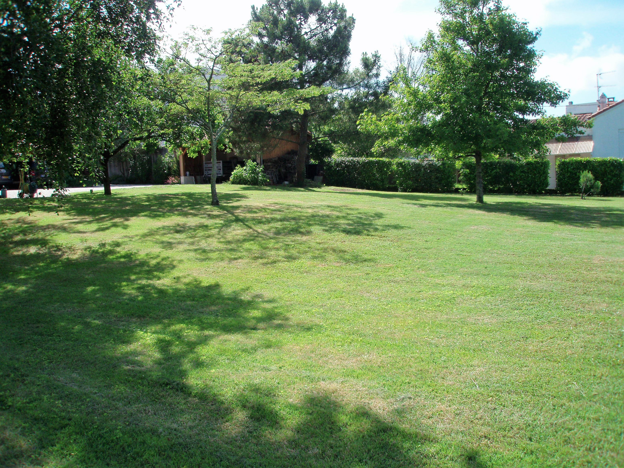 photo11