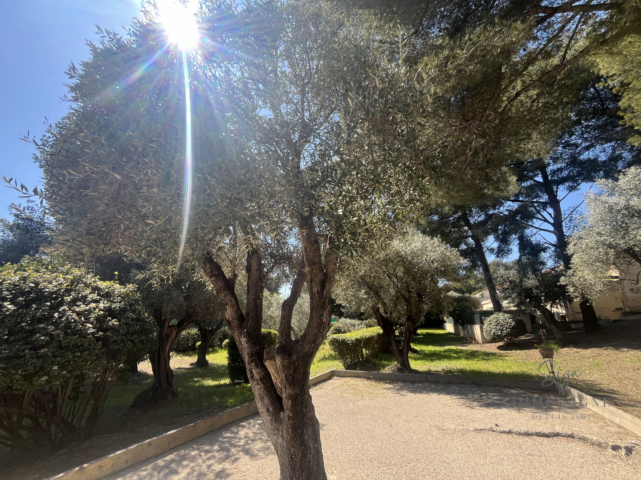 Agence immobilière de Immobagne